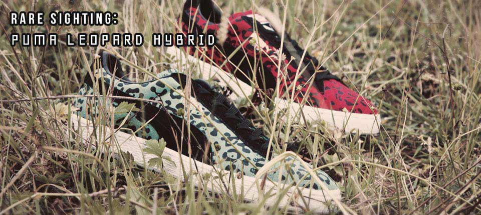 View Men's PUMA Suede