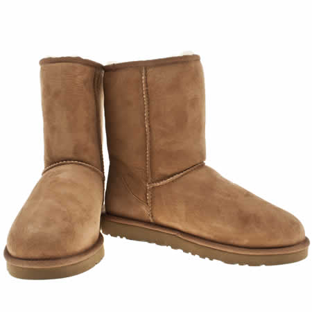 Uggs Chestnut Uggs Chestnut