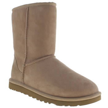 womens ugg australia beige classic short boots womens ugg australia beige classic short boots