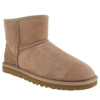 womens ugg australia light grey classic mini boots womens ugg australia light grey classic mini boots