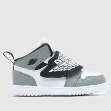 White & grey Sky Jordan 1