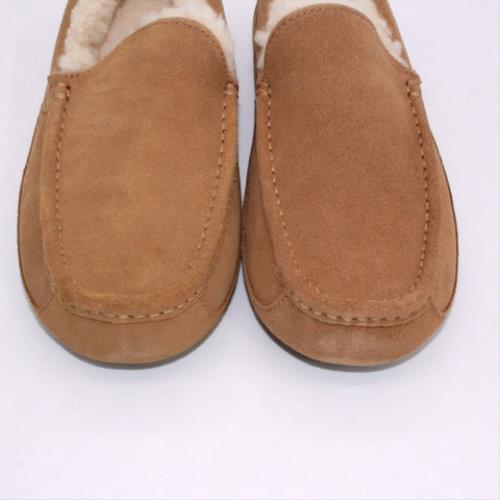 UGG ascot 3