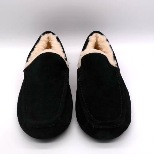 UGG ascot 1