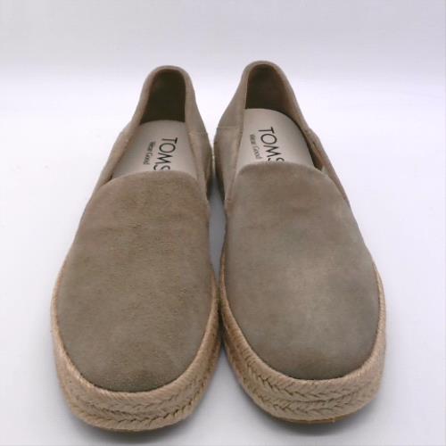 TOMS carolina 1