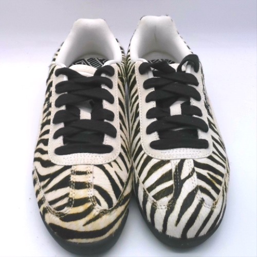 PUMA arizona 1