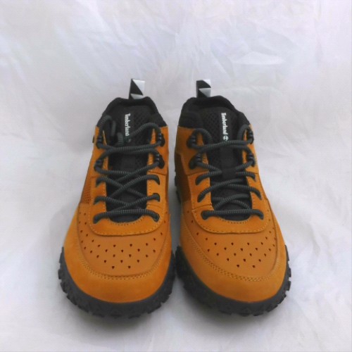 Timberland motion 6 1
