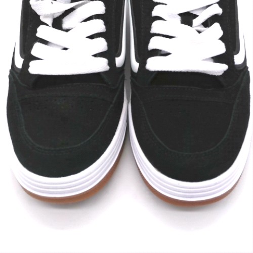 Vans hylane 2