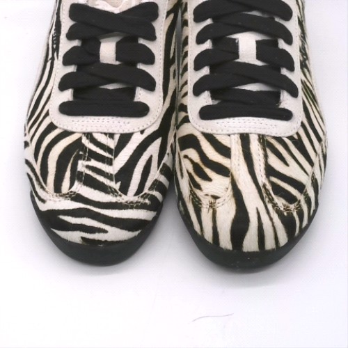 PUMA arizona 2