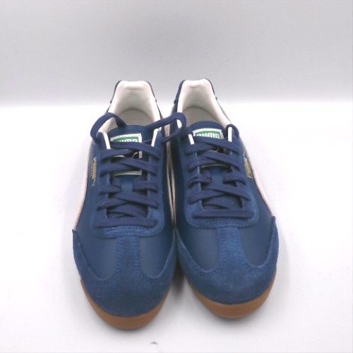 PUMA arizona 1