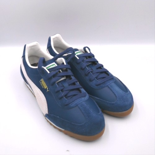 PUMA arizona 2