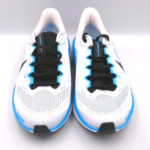 Nike air zoom pegasus 41 1