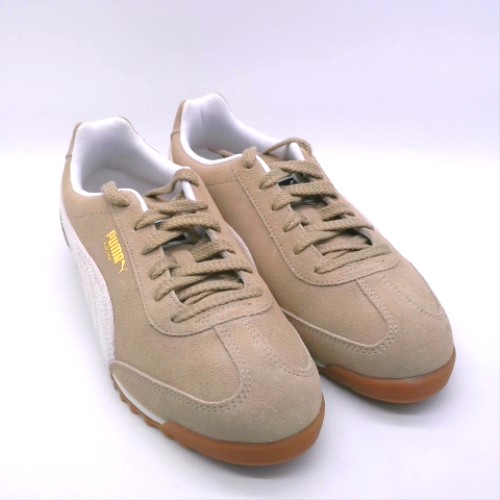 PUMA arizona 2