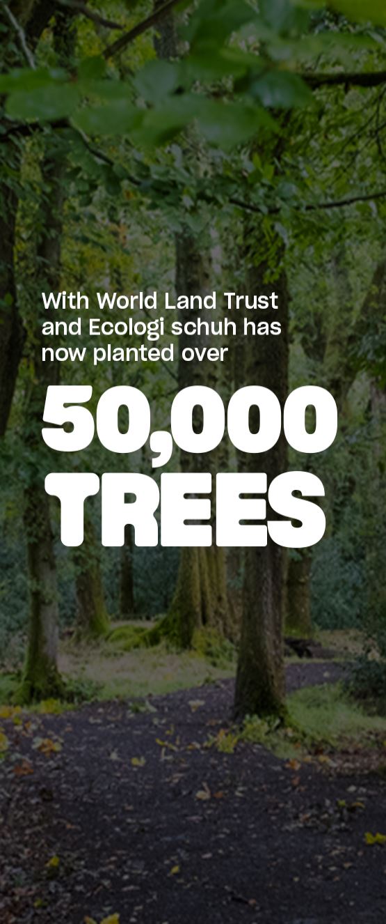 Image of a forest path with tall trees, overlaid with text stating Schuh has planted over 50,000 trees with World Land Trust and Ecologi.