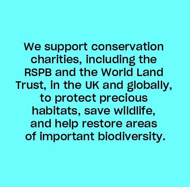 Image with blue background and text about Schuh’s support for conservation charities protecting habitats and wildlife.