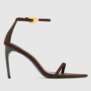 schuh Brown Stylish Point Womens High Heels