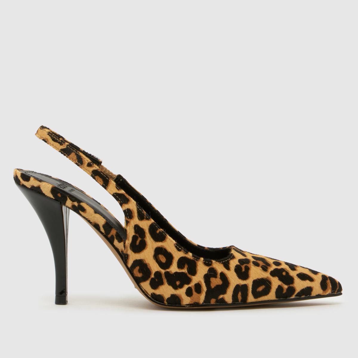 schuh Sophia Court in Black & Brown schuh Sophia Court