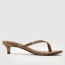 schuh Sunnie Toe Post Kitten,1 of 4