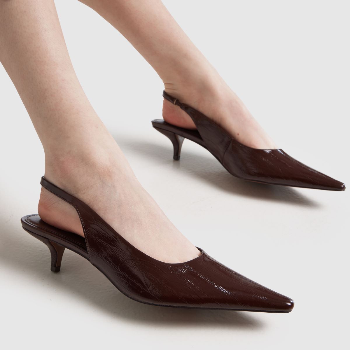 schuh Shery Court Kitten in Brown schuh Shery Court Kitten 8