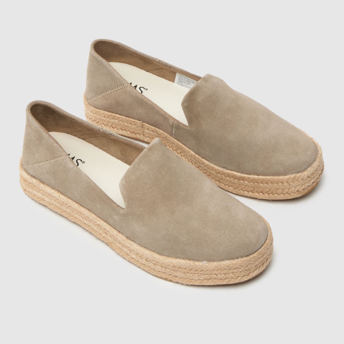 TOMS Carolina in Grey TOMS Carolina 4