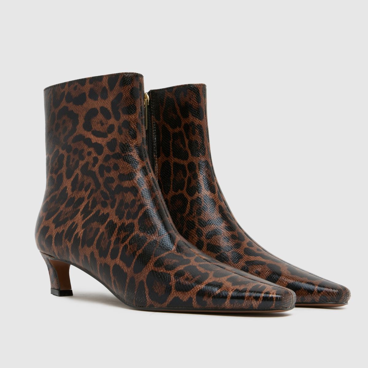 schuh Bexley Kitten Heel in Brown Multi schuh Bexley Kitten Heel 8