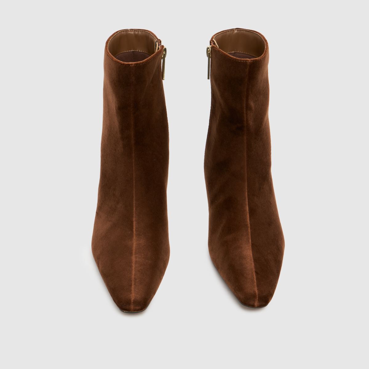 schuh Bexley Kitten Heel in Tan schuh Bexley Kitten Heel 7
