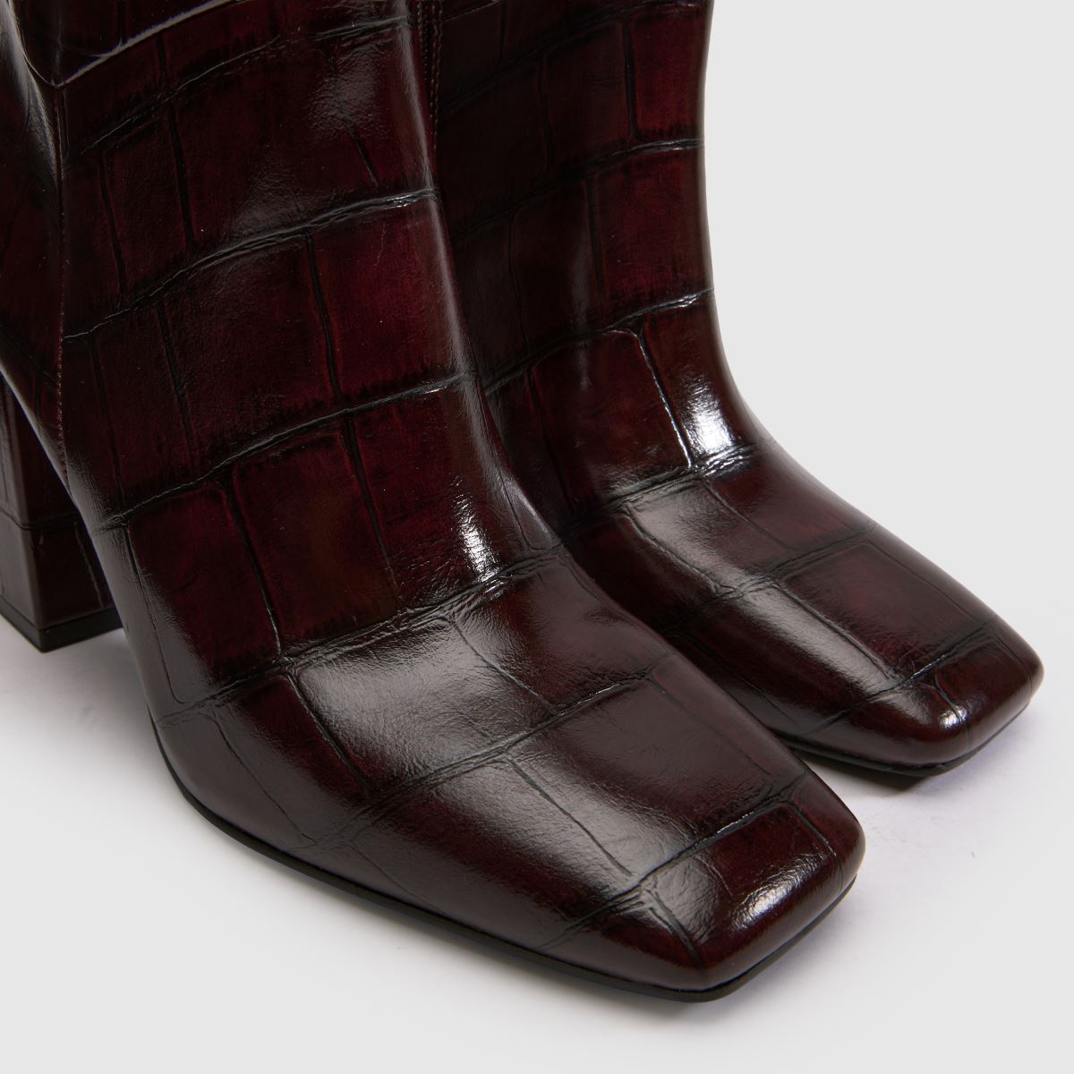 schuh Daphne Square Toe Knee Boot in Burgundy schuh Daphne Square Toe Knee Boot 4