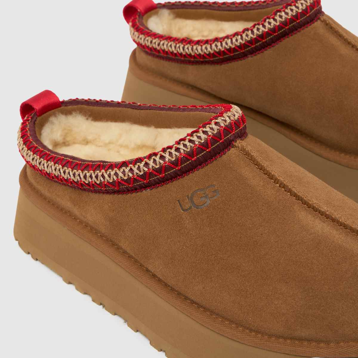 Tazz Chestnut