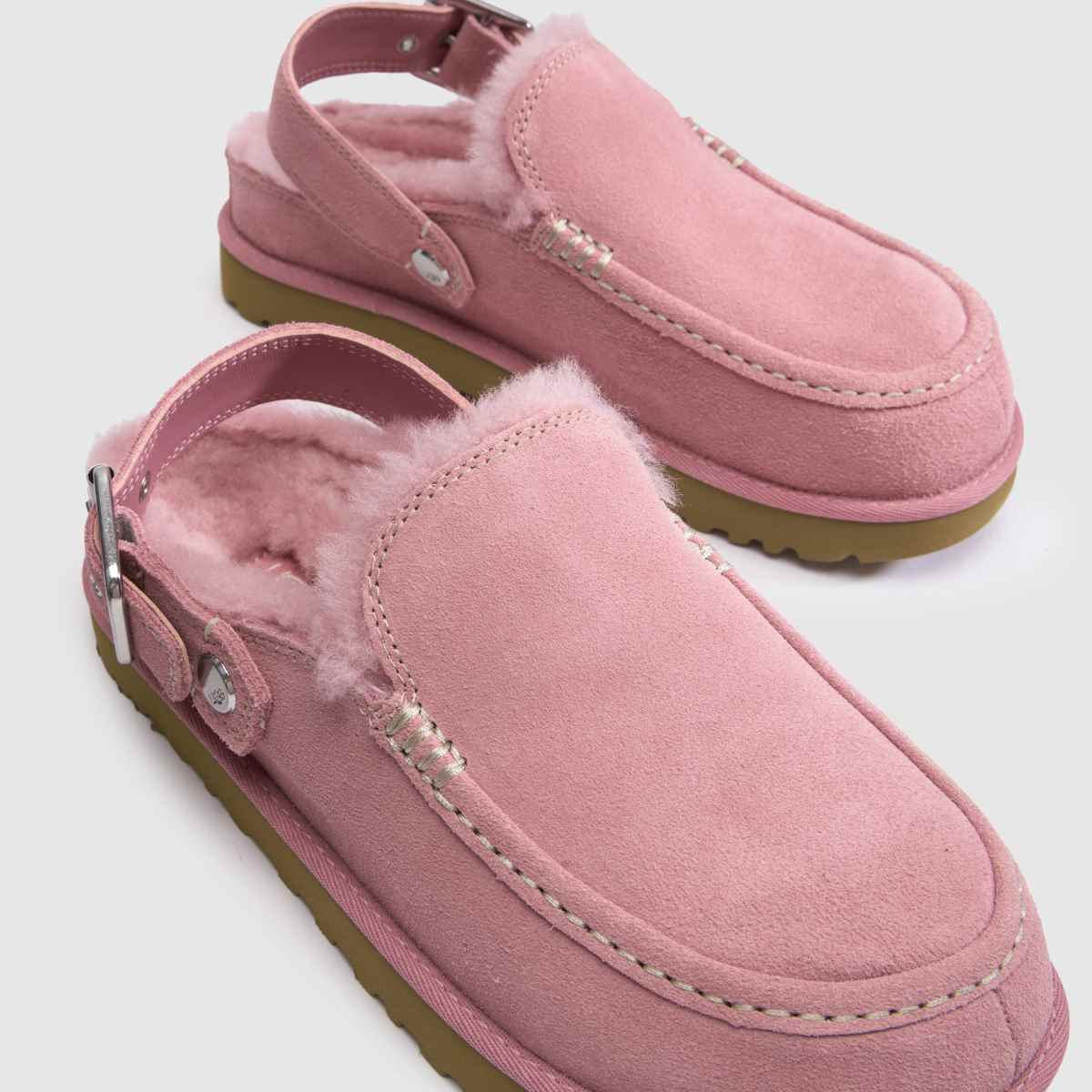 UGG Goldenstar Evelina Clog in Dusty Orchid UGG Goldenstar Evelina Clog 4