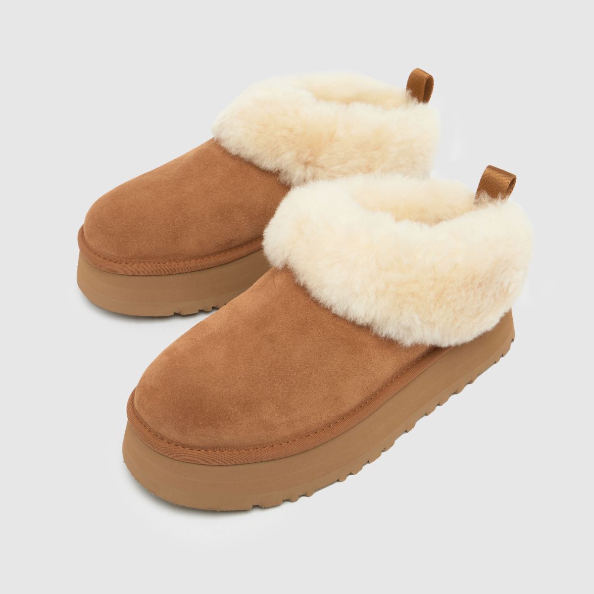 UGG Tazzelle in Chestnut UGG Tazzelle 4
