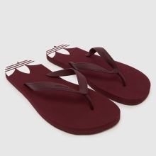 adidas Adi Sun in Burgundy adidas Adi Sun,1 of 4