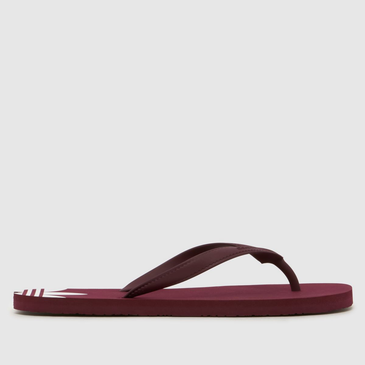 adidas Adi Sun in Burgundy adidas Adi Sun 3