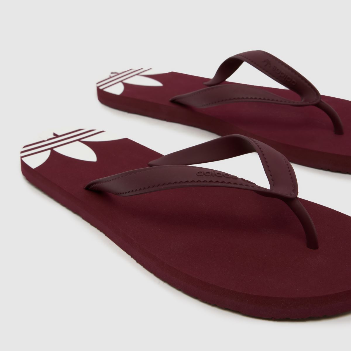 adidas Adi Sun in Burgundy adidas Adi Sun 4