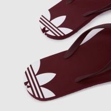 adidas Adi Sun in Burgundy adidas Adi Sun,4 of 4