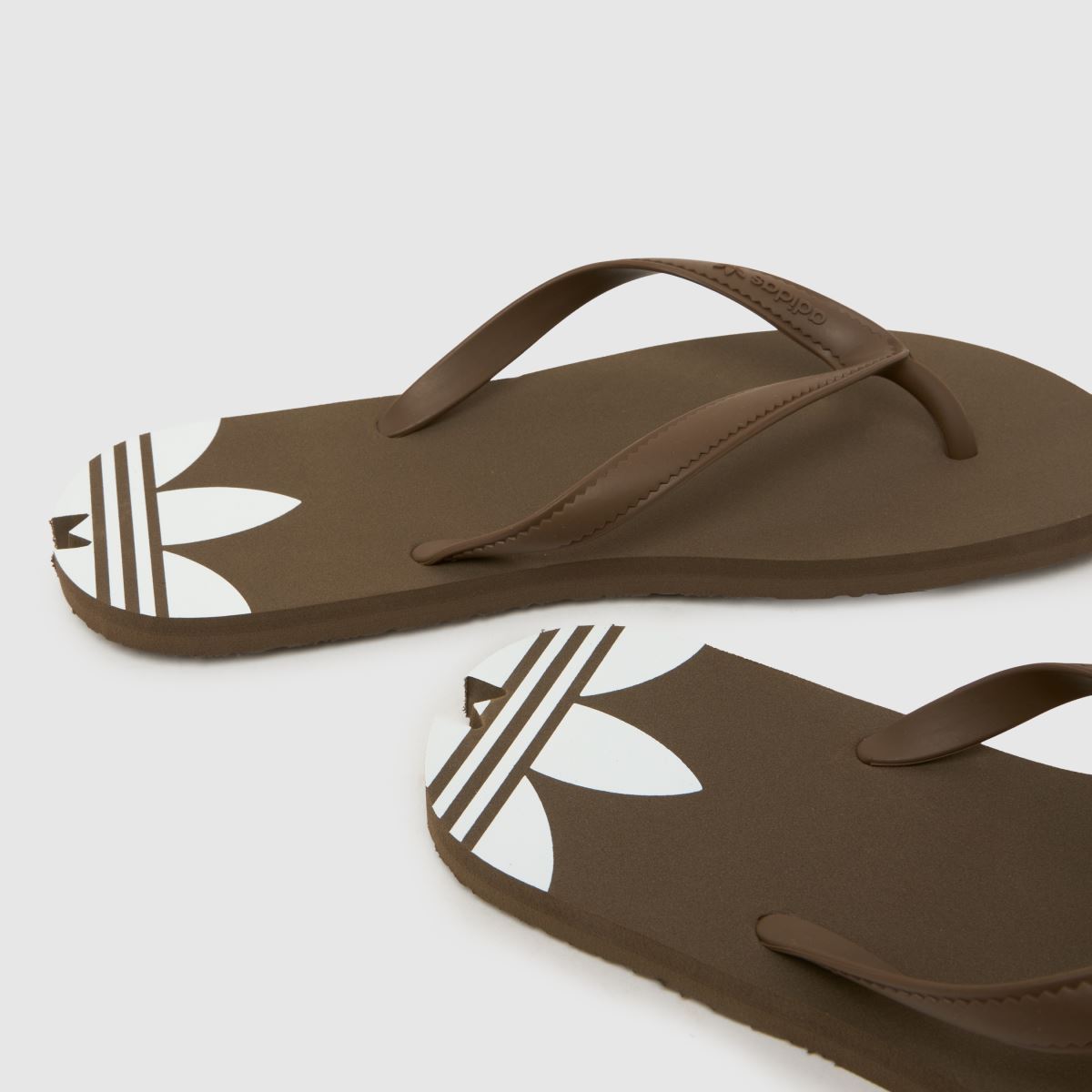 adidas Adi Sun in Dark Brown adidas Adi Sun 7