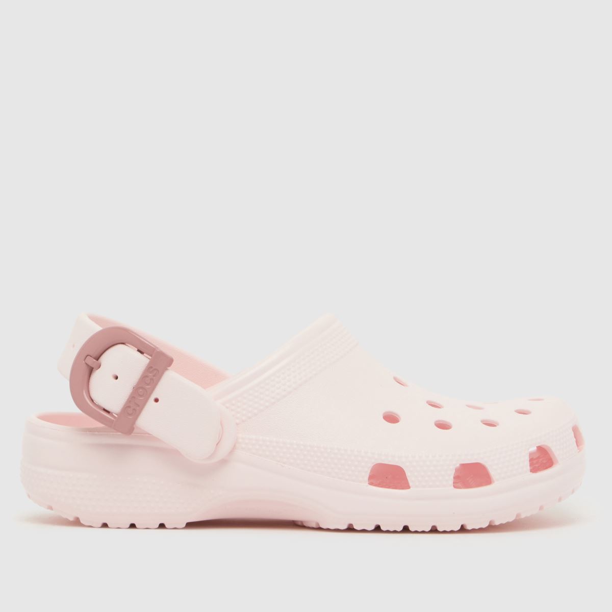 Crocs Classic Buckle Clog Sandals in Pale Pink