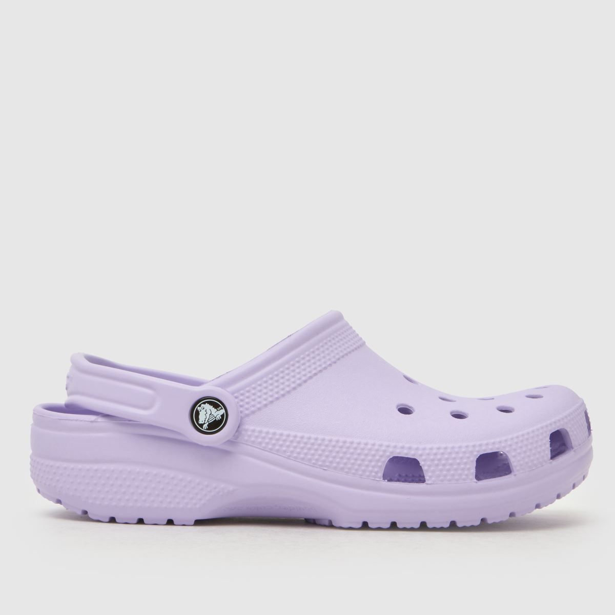 Crocs Classic Clog Sandals in Purple