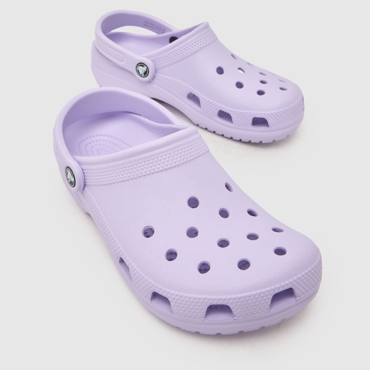Crocs Classic Clog in Purple Crocs Classic Clog 4