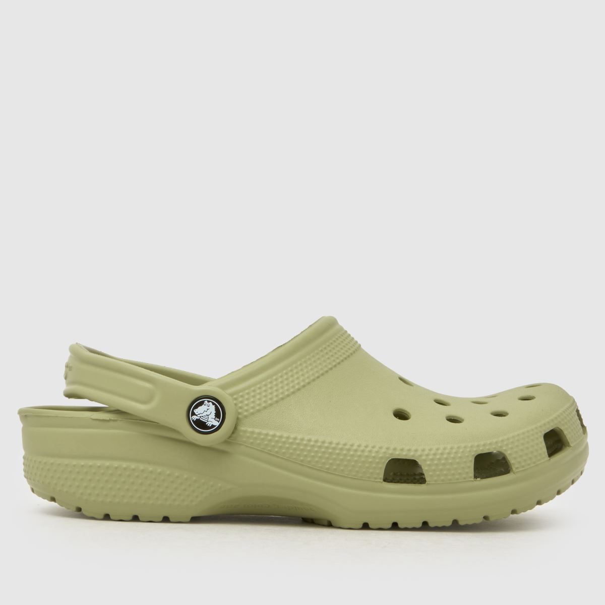 Crocs Classic Clog Sandals in Light Green