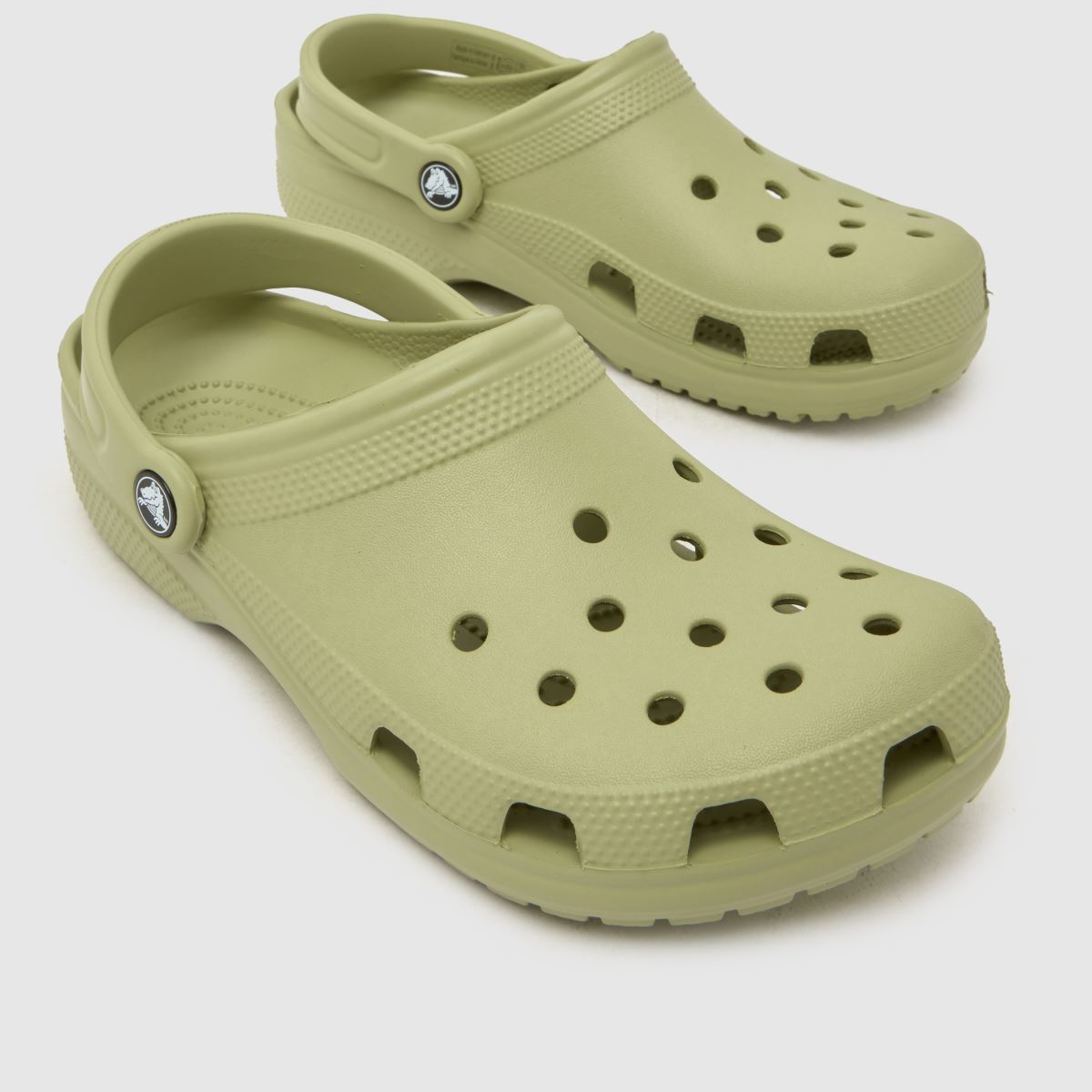 Crocs Classic Clog in Light Green Crocs Classic Clog 4