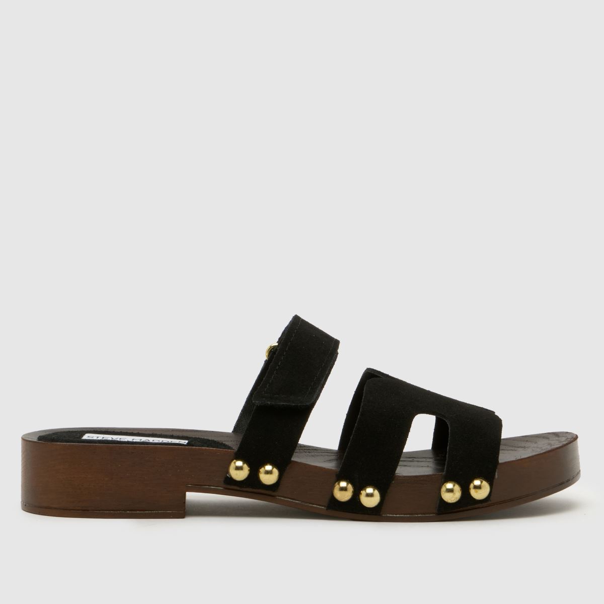 Steve Madden Canal Sandals in Black