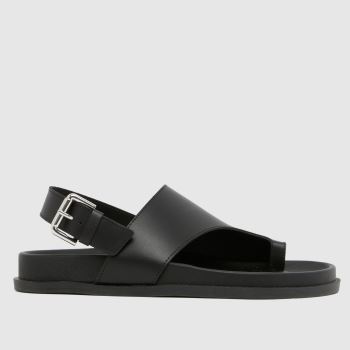 schuh Black Tamsyn Leather Toe Post Womens Sandals