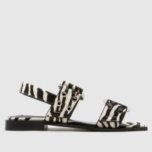Steve Madden Grand Saria-Le Zebra,1 of 4