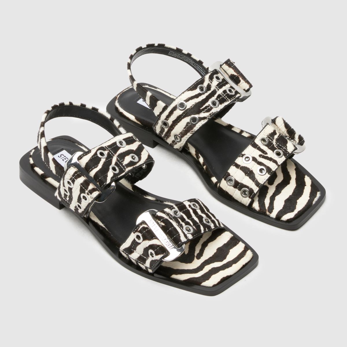 Steve Madden Grand Saria-Le Zebra in Print Steve Madden Grand Saria-Le Zebra 4