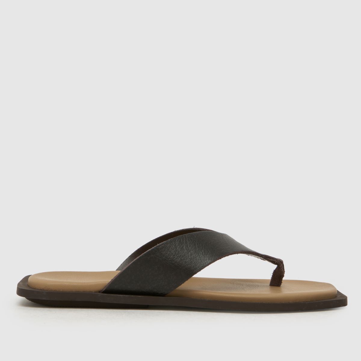 Steve Madden Splash-B Flip in Brown Multi Steve Madden Splash-B Flip 3
