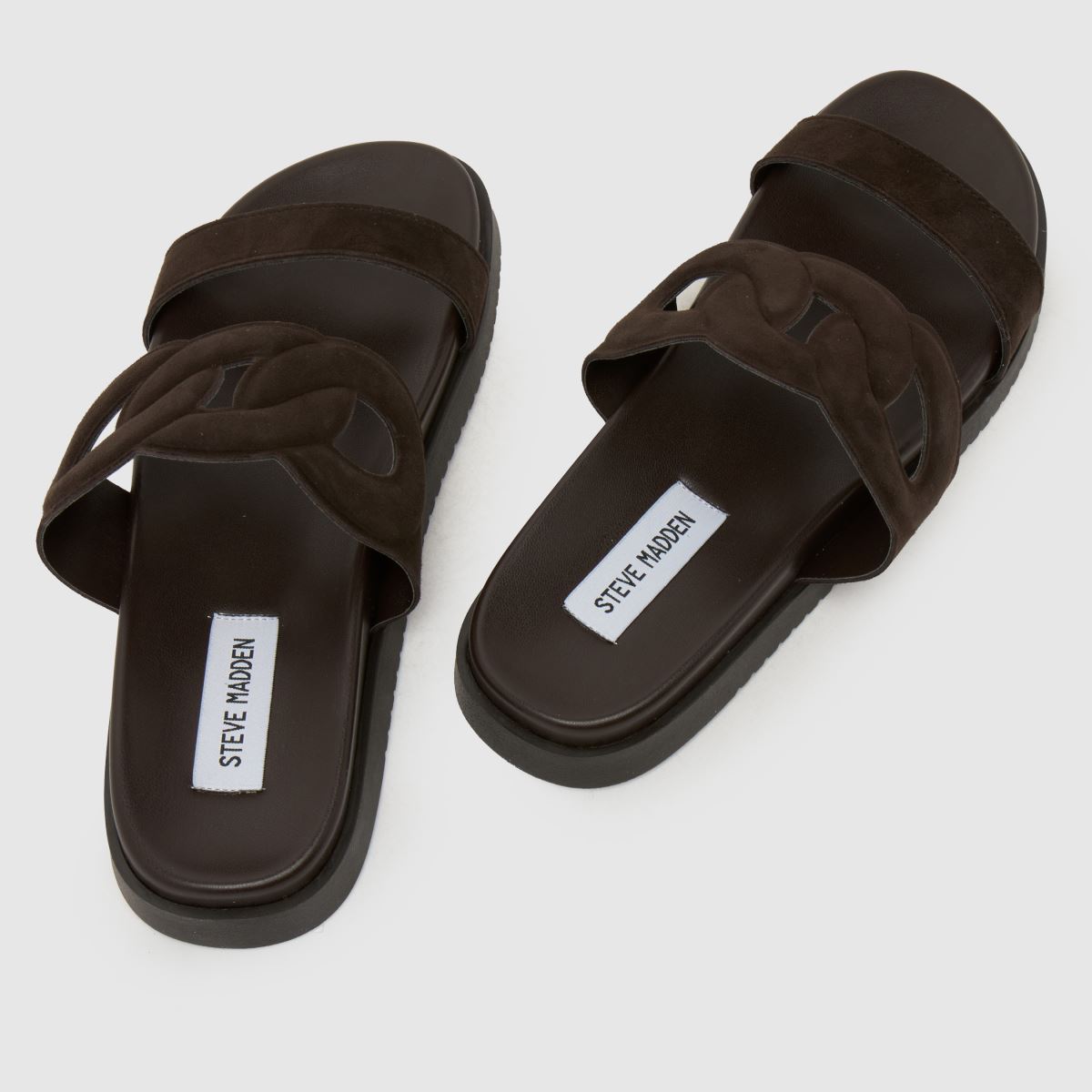 Steve Madden Myrtle in Dark Brown Steve Madden Myrtle 7