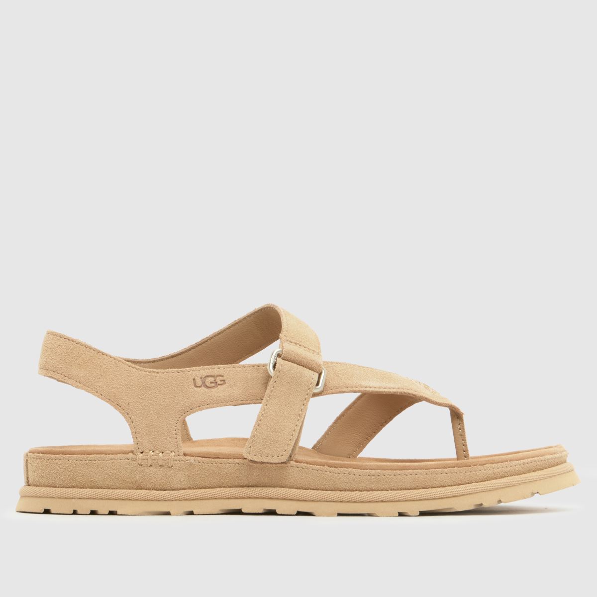 UGG Goldengaze Toe Post Sandals in Sand
