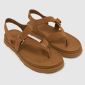 Chestnut