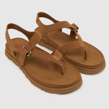 UGG Goldengaze Toe Post in Chestnut UGG Goldengaze Toe Post,1 of 4