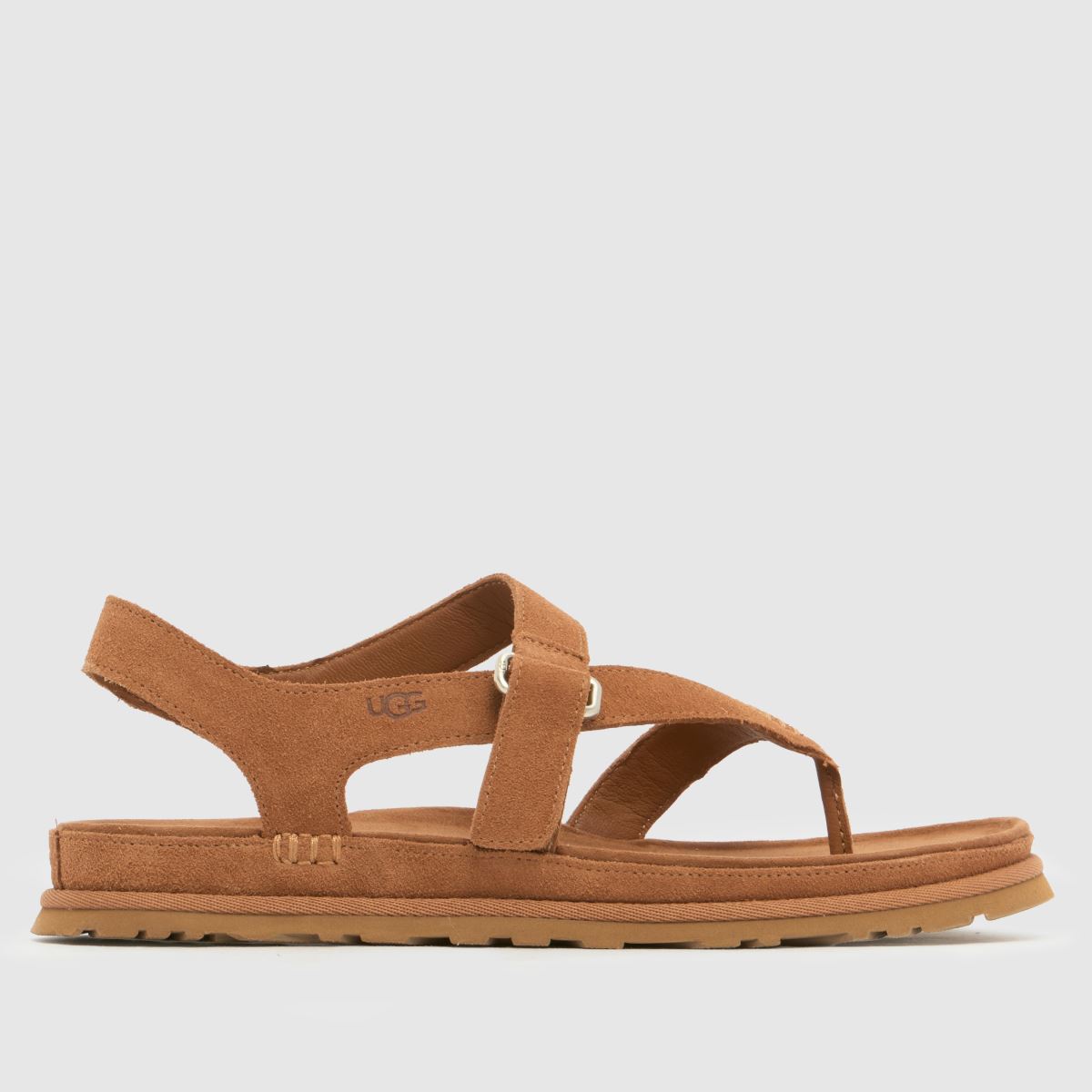 UGG Goldengaze Toe Post Sandals in Chestnut