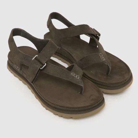 UGG goldengaze toe post 1